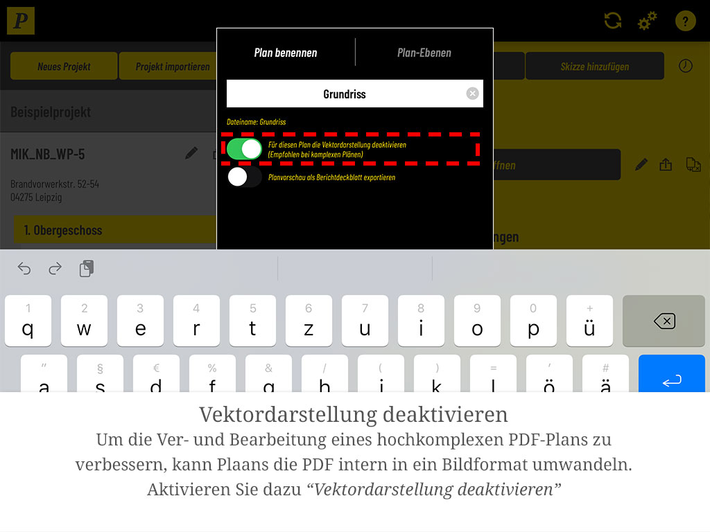 Aktivieren Sie „Vektordarstellung deaktivieren", damit Plaans die PDF intern in ein Bildformat umwandelt.